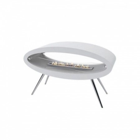Механический напольный биокамин Decoflame Ellipse Floor Механический напольный биокамин Decoflame Ellipse Floor по цене 622 790 руб.